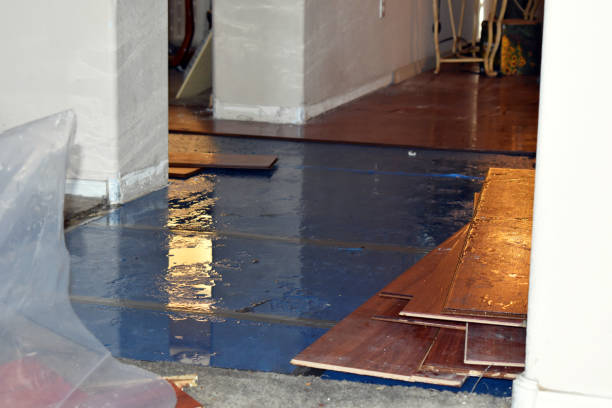 Professional Storm Water Damage Restoration technician working in Newtonsville, OH